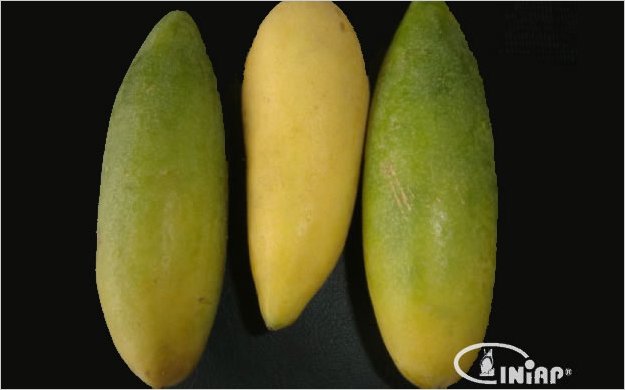 INIAP impulsa proyecto para aumentar producciÃ³n de fruta