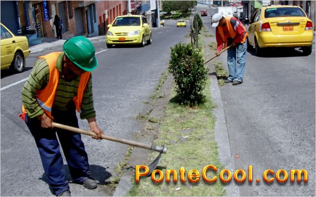 Se realizÃ³ minga de limpieza barrial en el barrio Bellavista