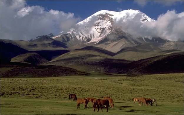 Ecuador promueve inversiones, comercio y turismo en el noreste de China