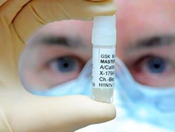 AmÃ©rica Latina necesita 200 millones de vacunas para gripe AH1N1