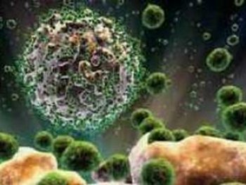 Descubren la primera vacuna con efectividad contra el virus del Sida