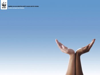 WWF pide a jefes de estado que vengan a Copenhague con las cifras