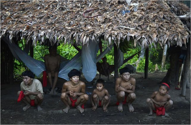 Brasil inicia investigaciÃ³n sobre genocidio contra indÃ­genas Yanomami