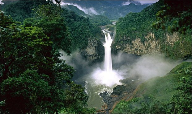Ecuador no consigue dinero para salvar la reserva de YasunÃ­
