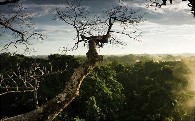 La asambleÃ­sta magaly orellana denunciÃ³ la construcciÃ³n de una carretera en el yasunÃ­