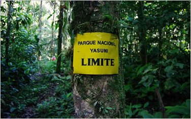 Hoy se entrega pregunta para consulta sobre YasunÃ­